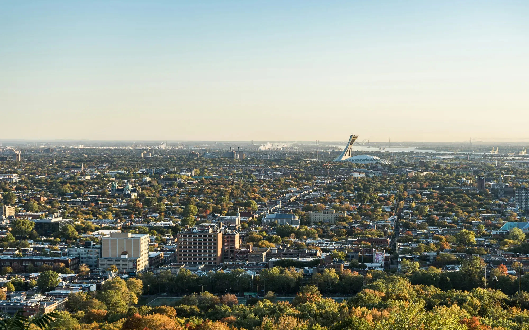 Montréal in autumn from Mount Royal, looking east toward the Olympic Stadium